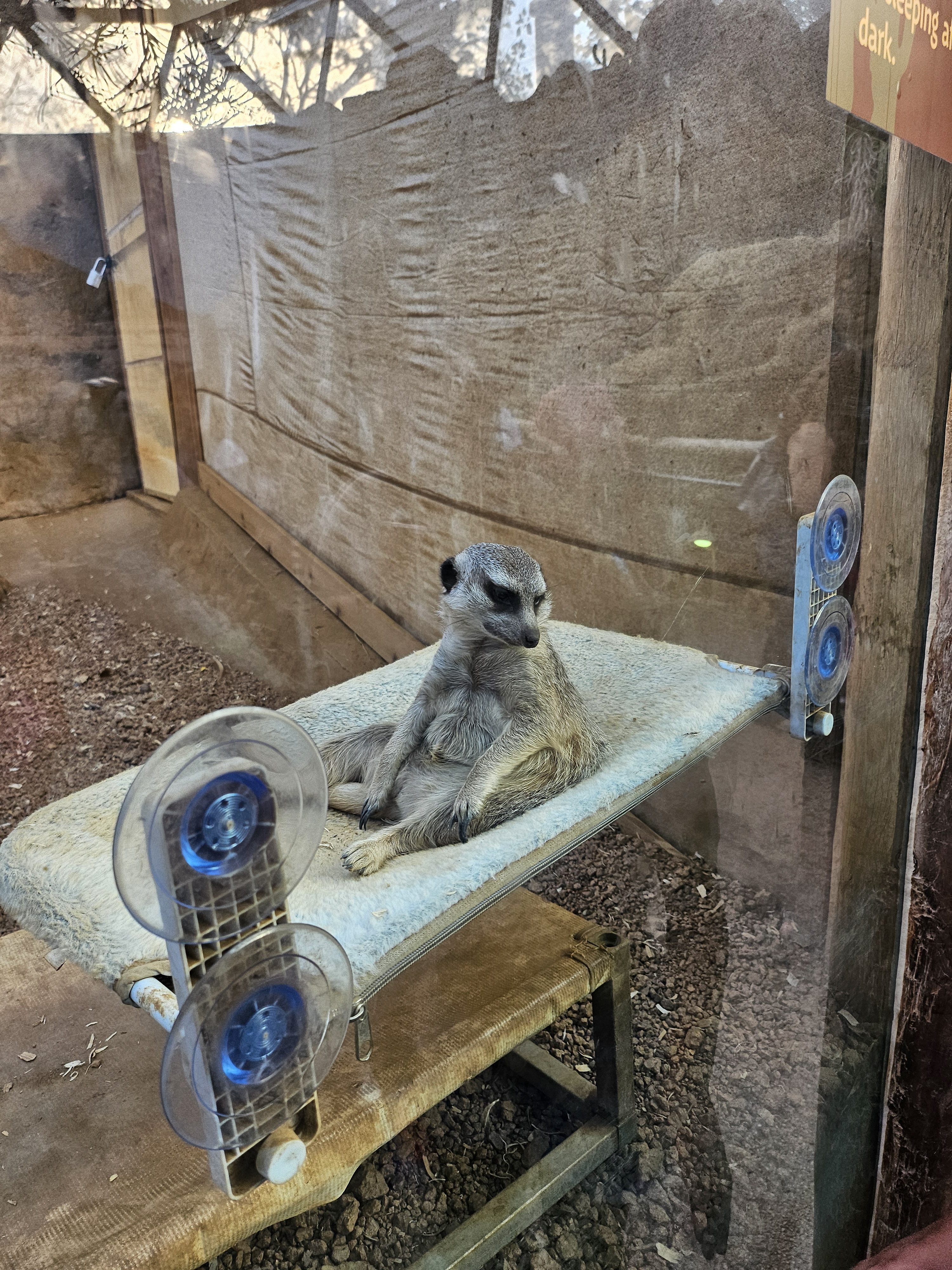 user avatar image for Lynne