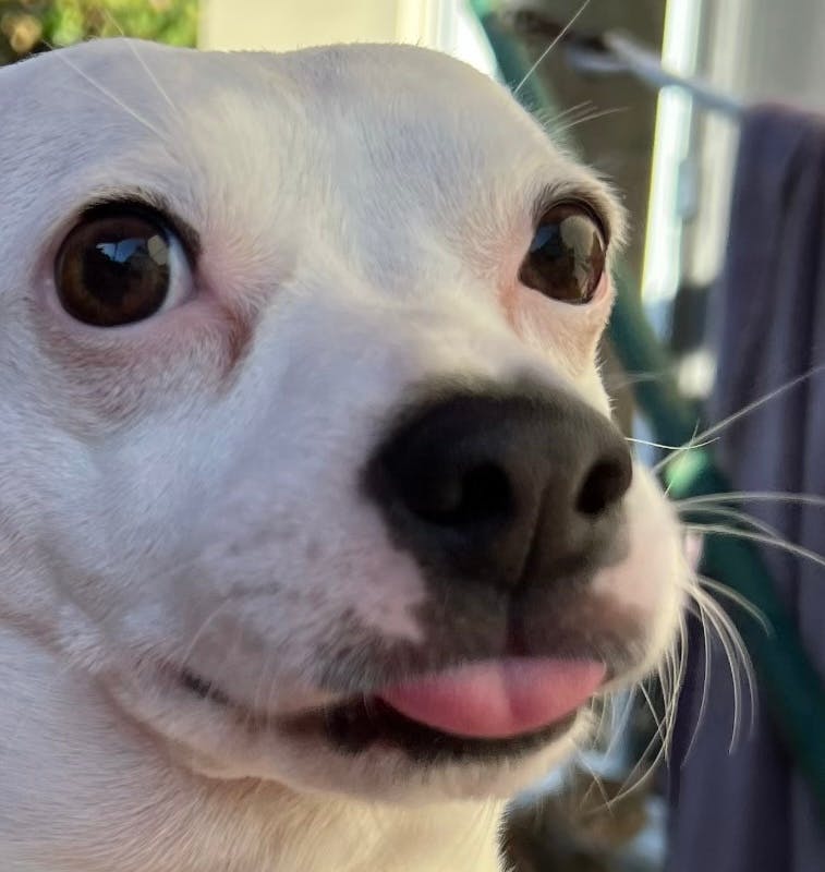 user avatar image for Jeffrey Bo Beffrey