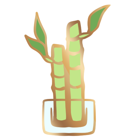 Lucky Bamboo