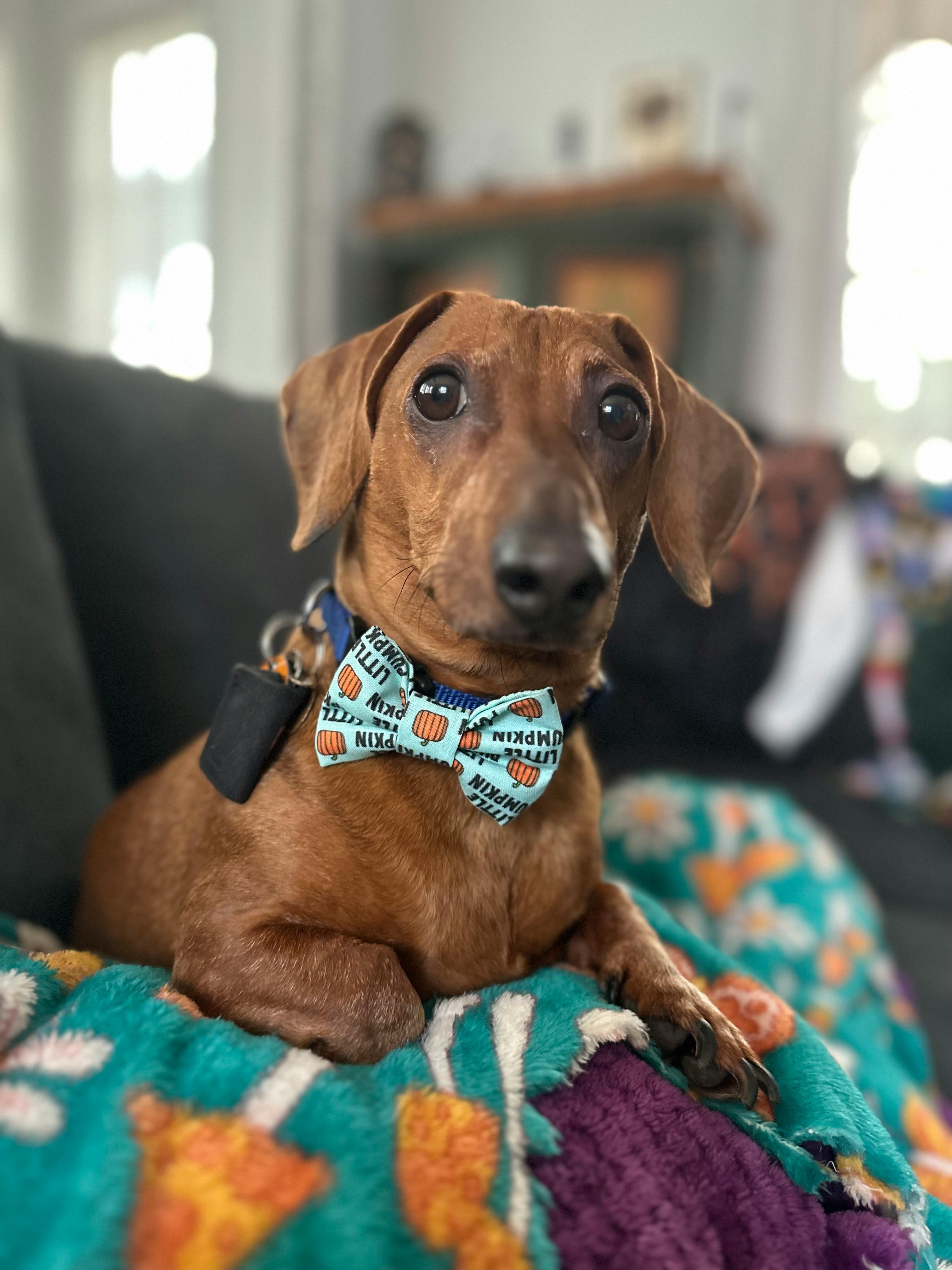 user avatar image for Carrie