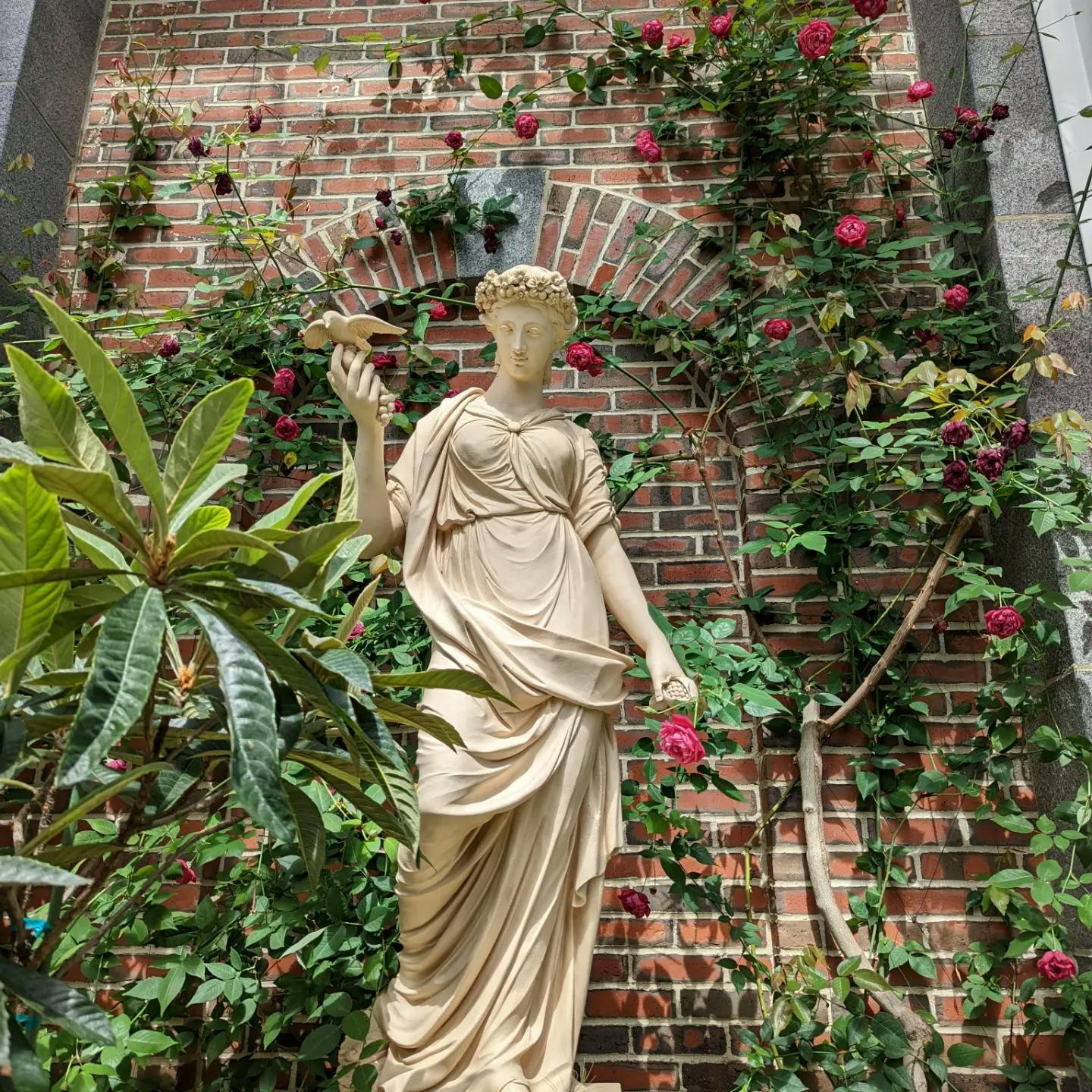 user avatar image for GreenMTGinger