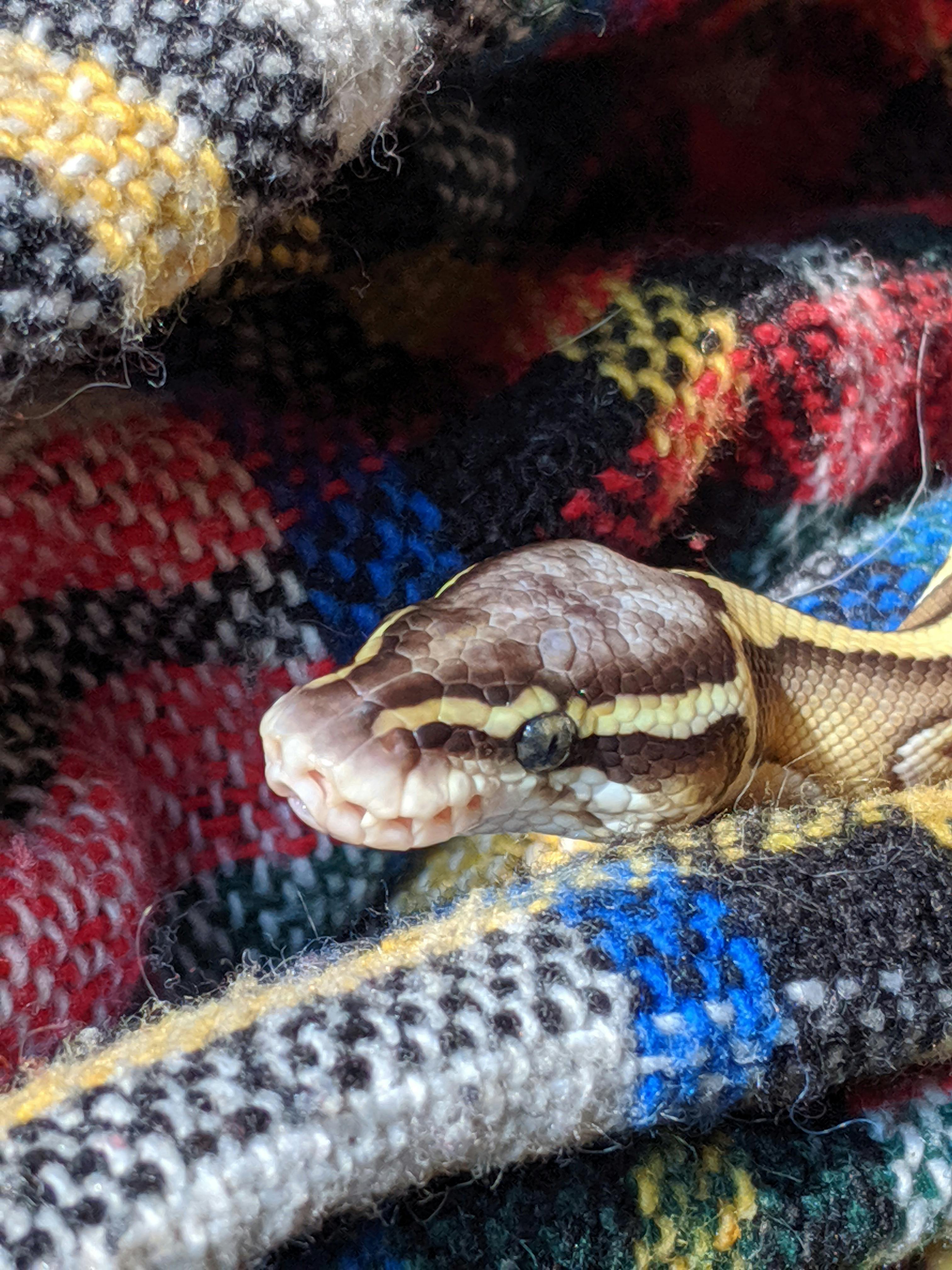 user avatar image for Kelley