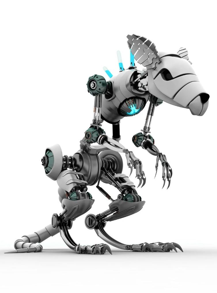 user avatar image for Bernie Trombley