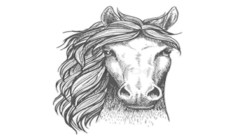 user avatar image for MoisesR