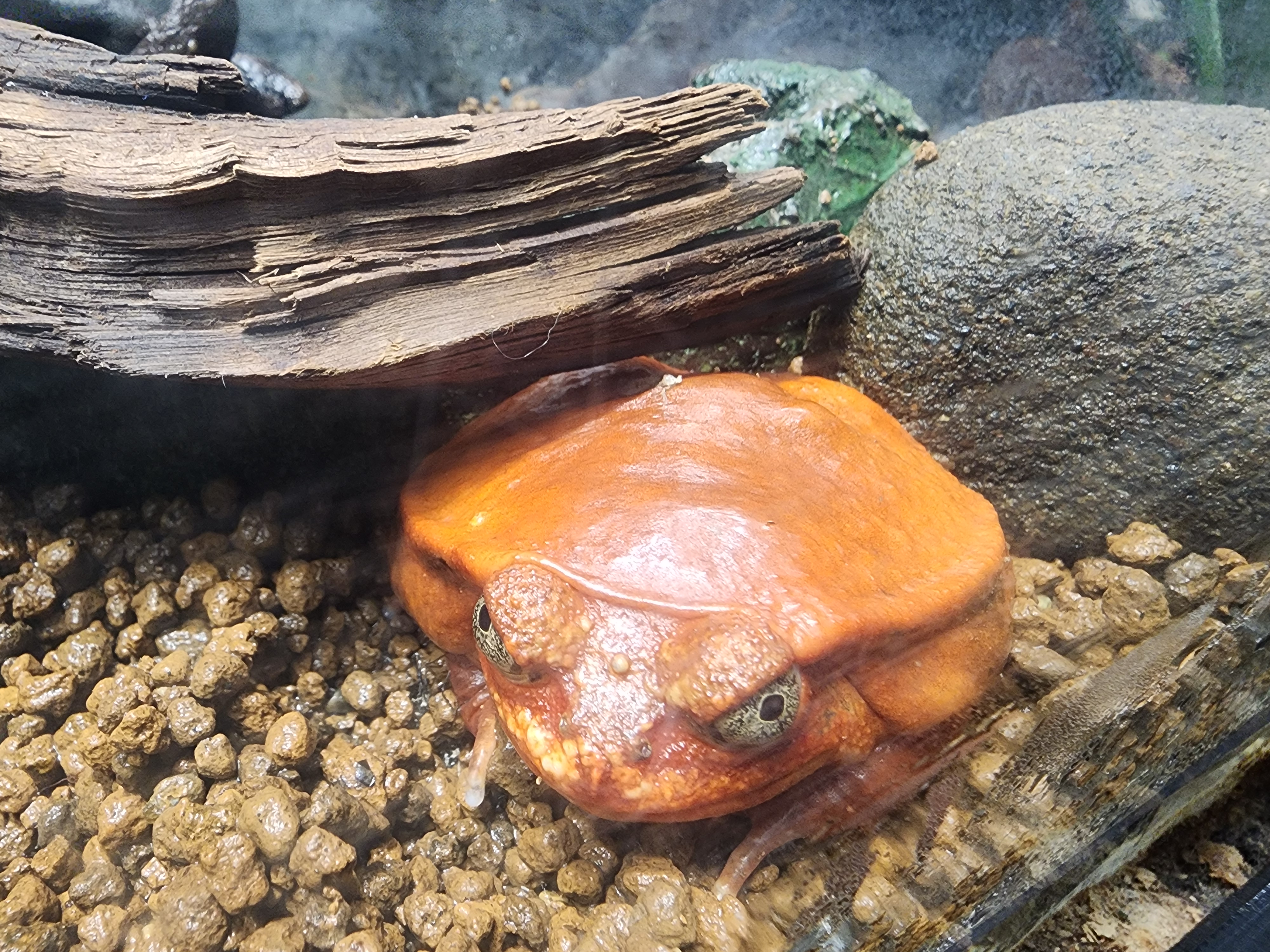 user avatar image for Jaulea1