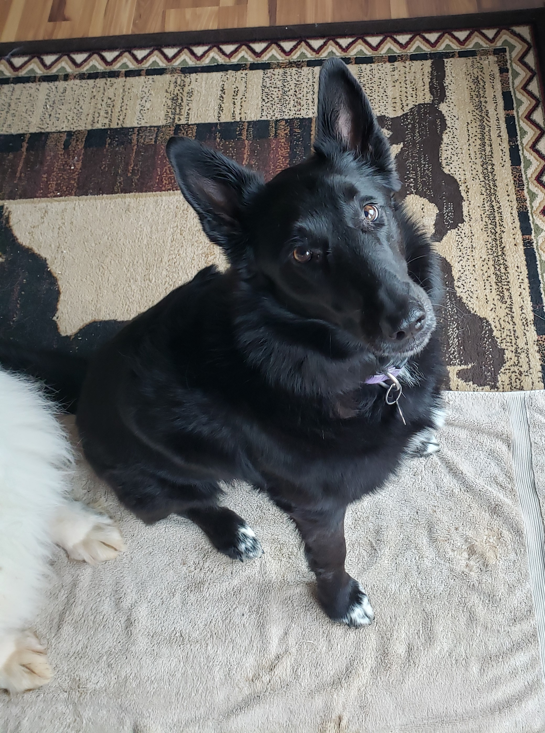 user avatar image for Jessica