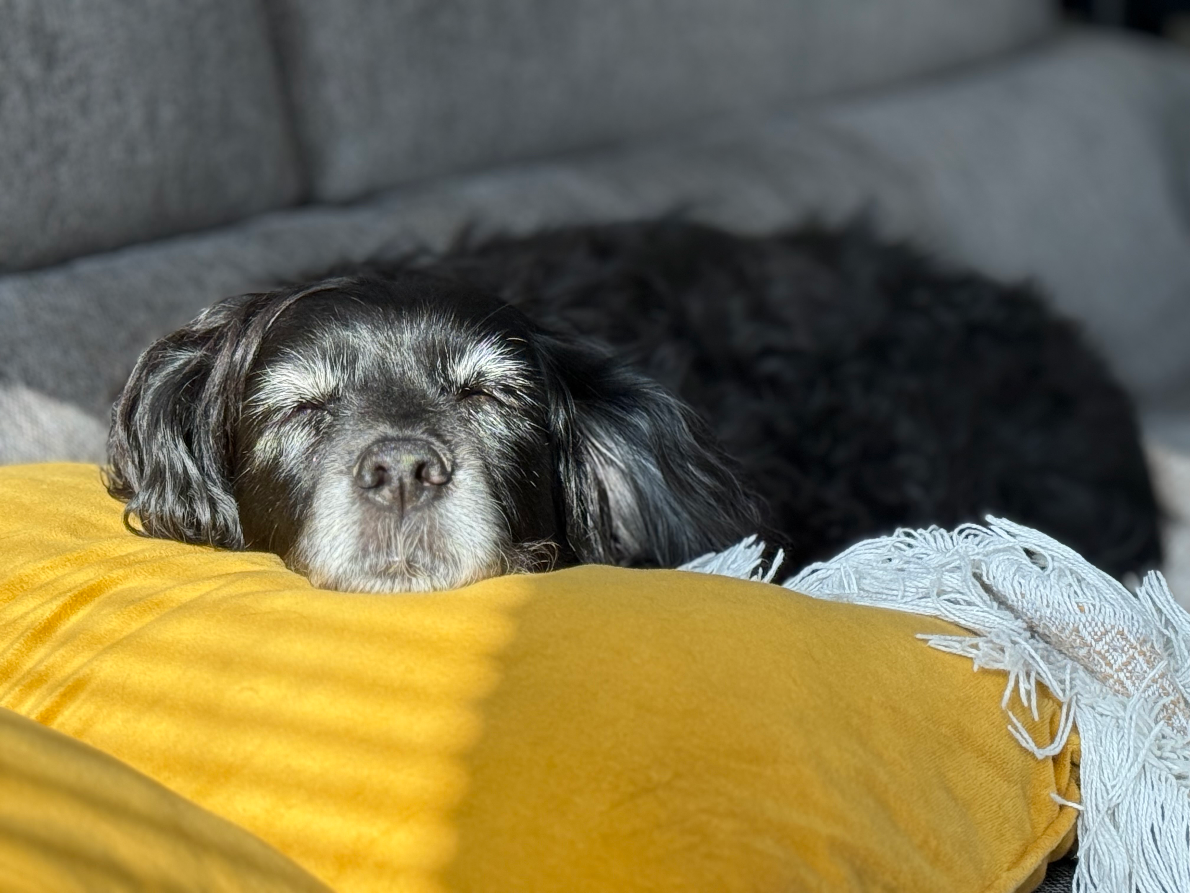 user avatar image for Paul