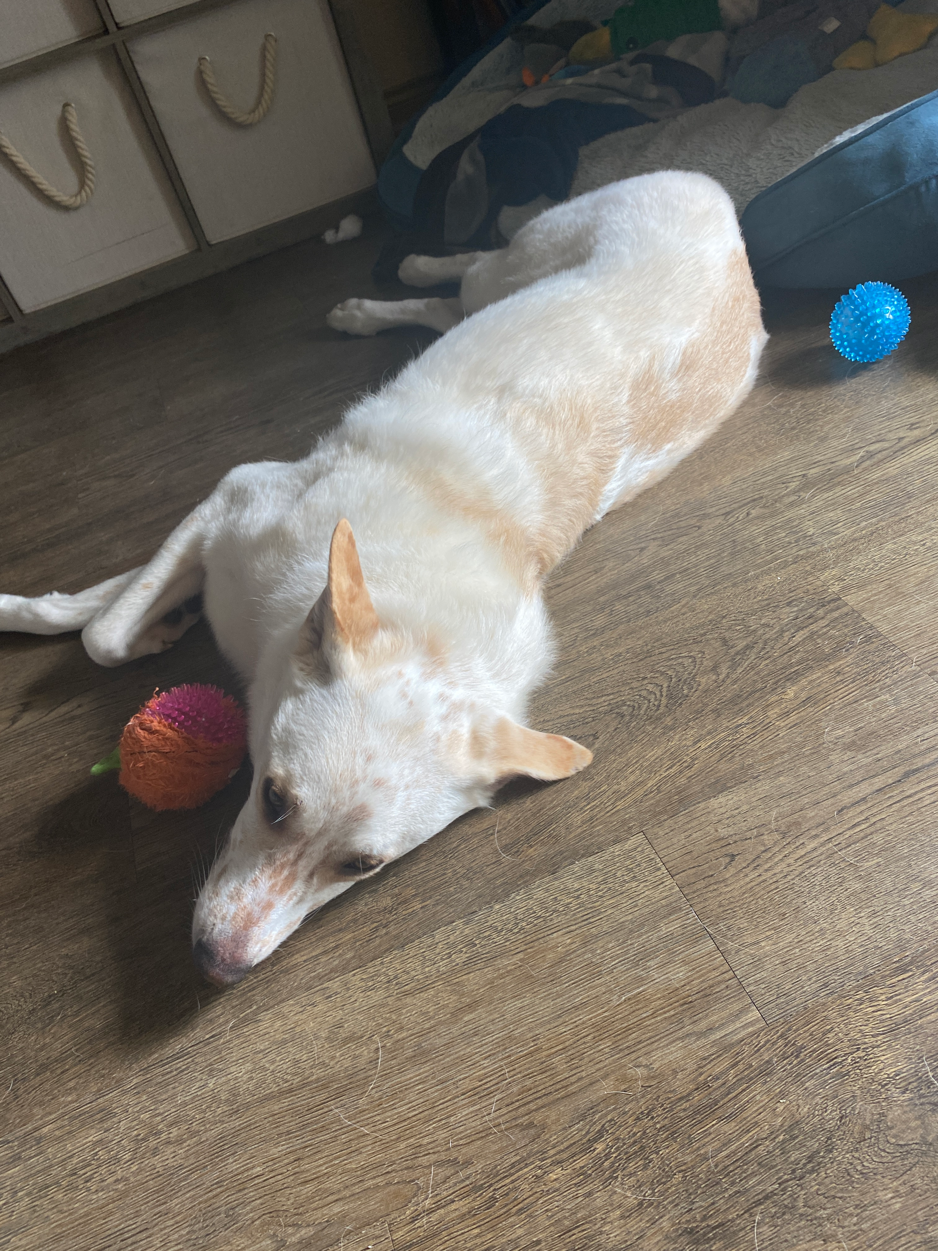 user avatar image for Daniel Dalton