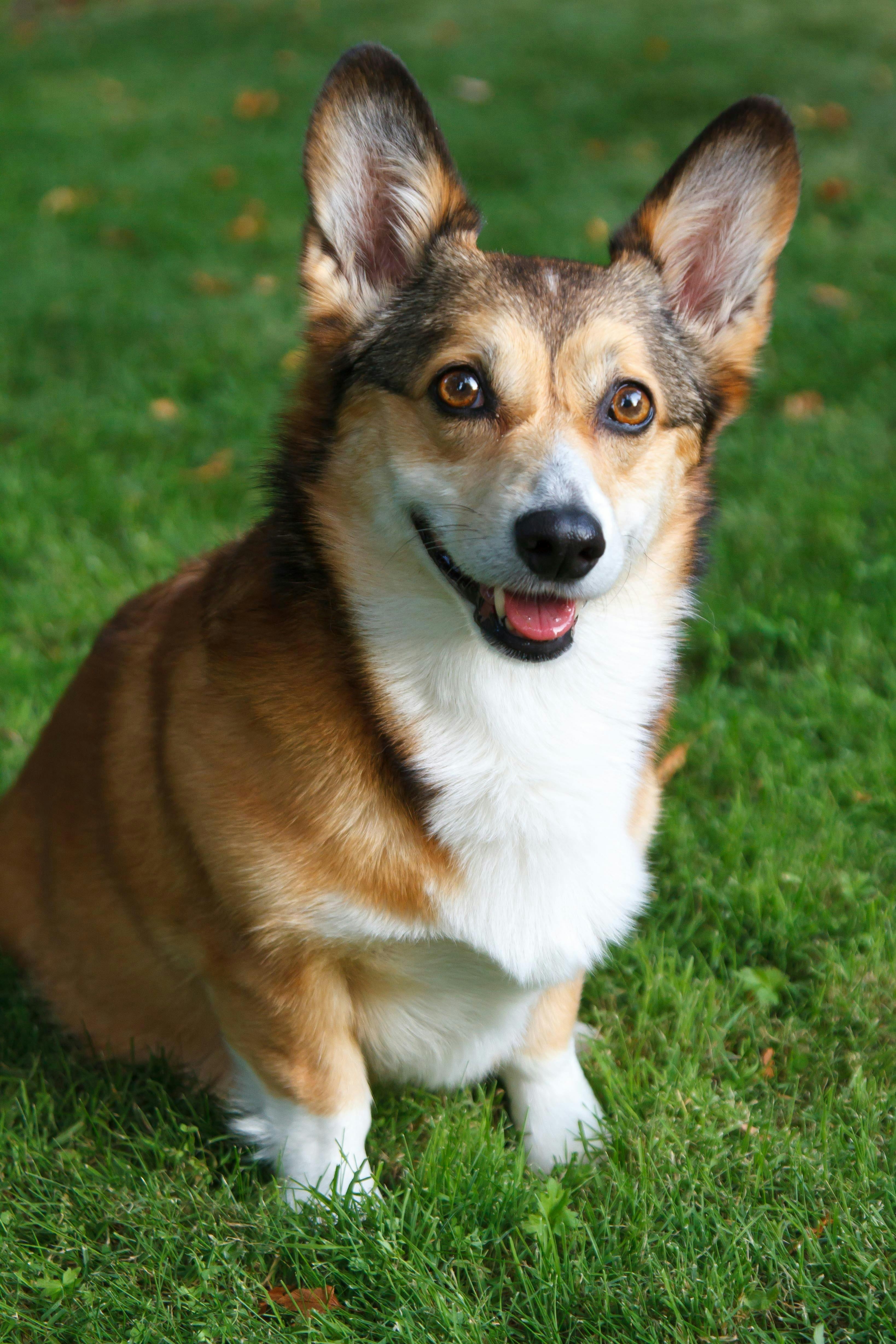 user avatar image for AndrethSaelind