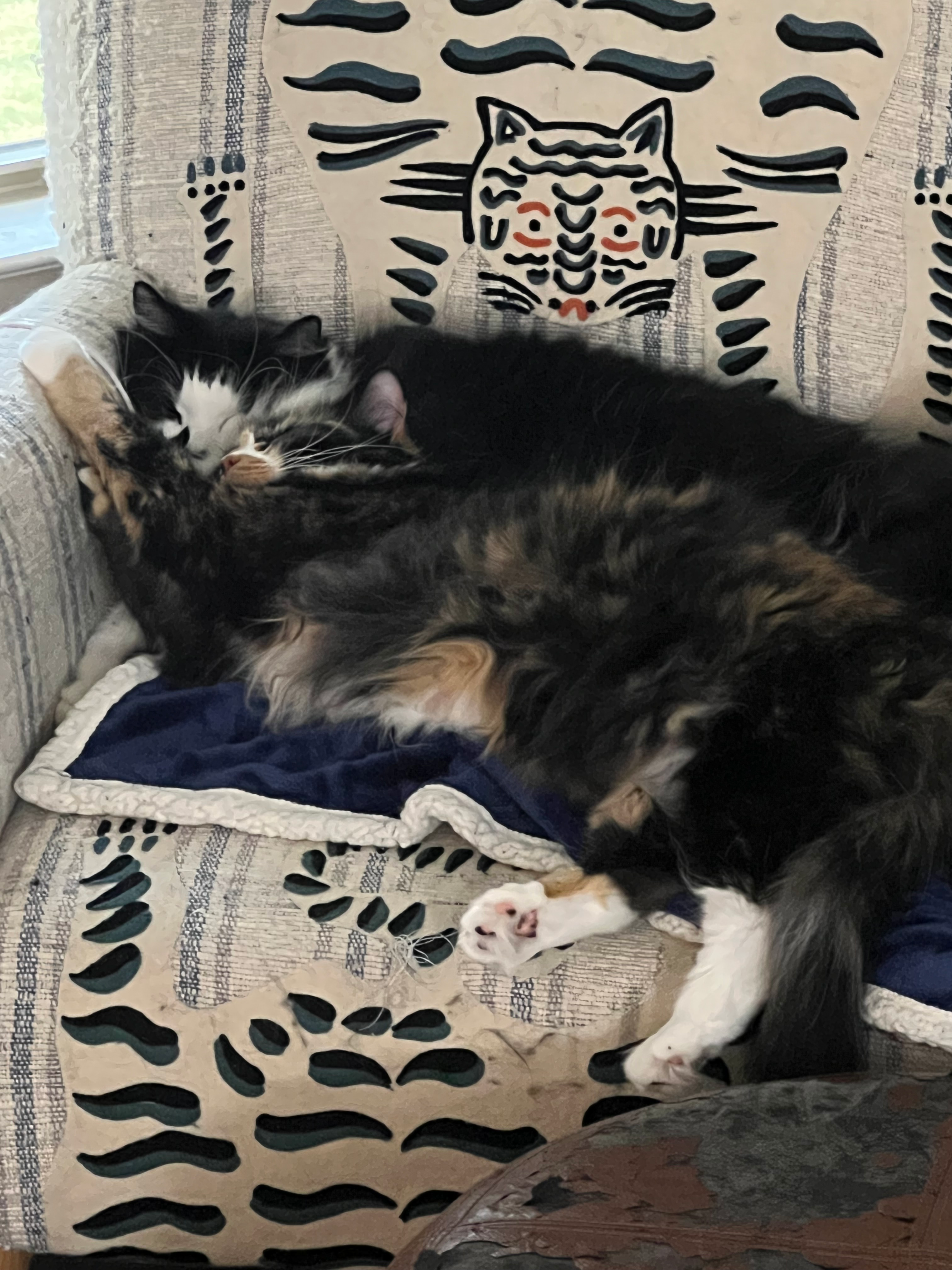 user avatar image for Brobi Won