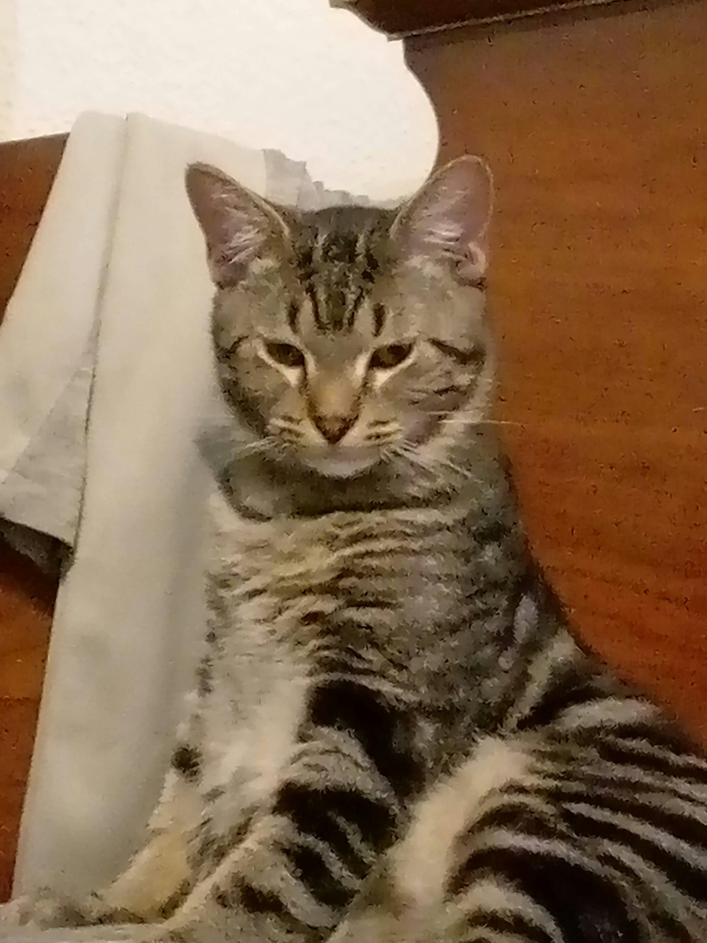 user avatar image for Malco24