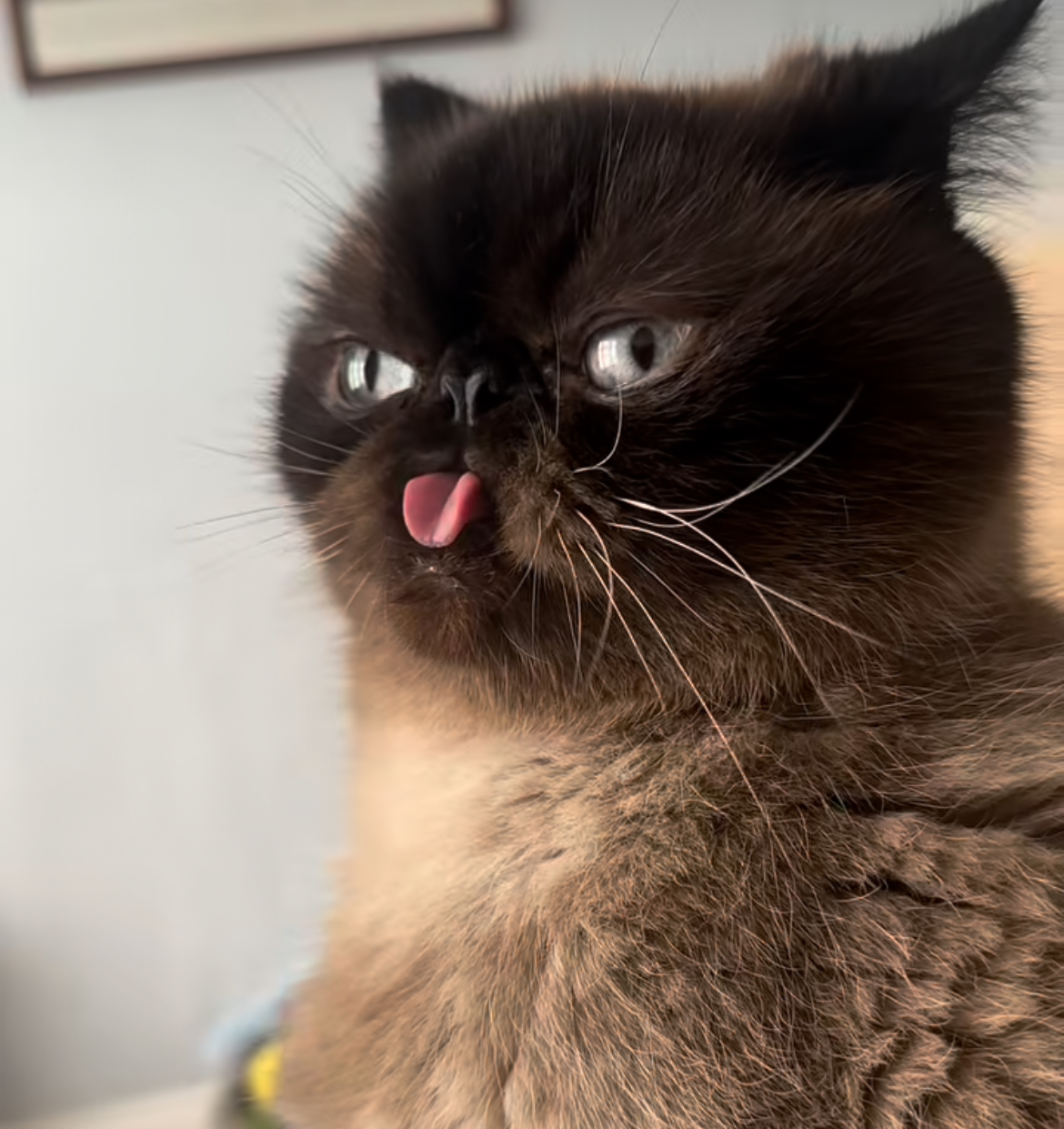 user avatar image for Lern