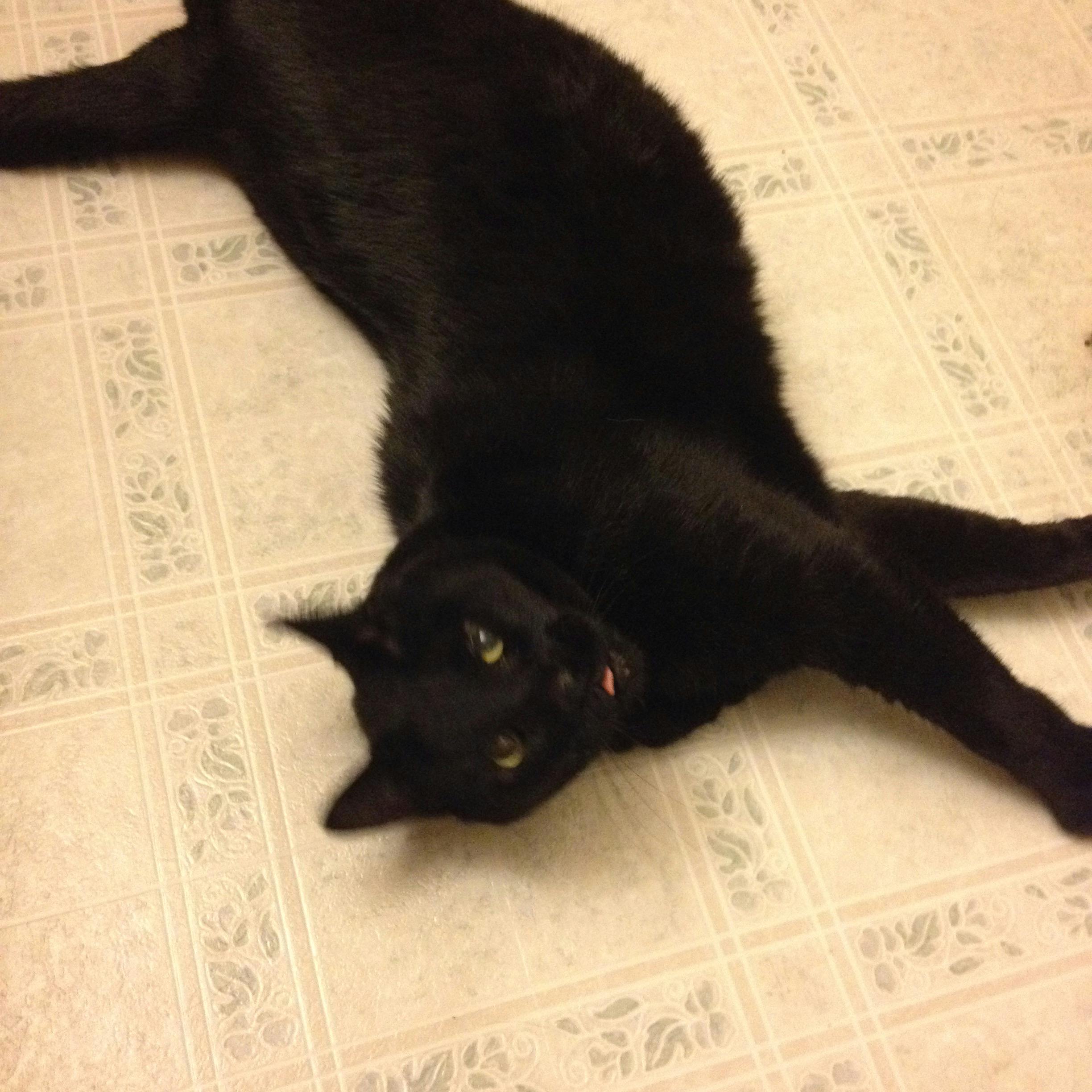 user avatar image for Tanya Parson 