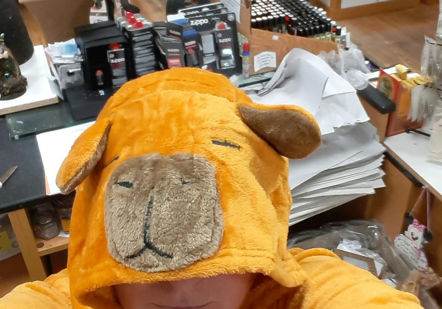 user avatar image for Al