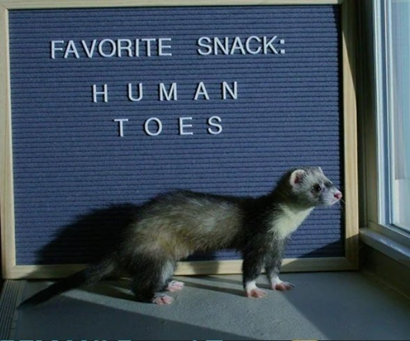 user avatar image for Aubrey