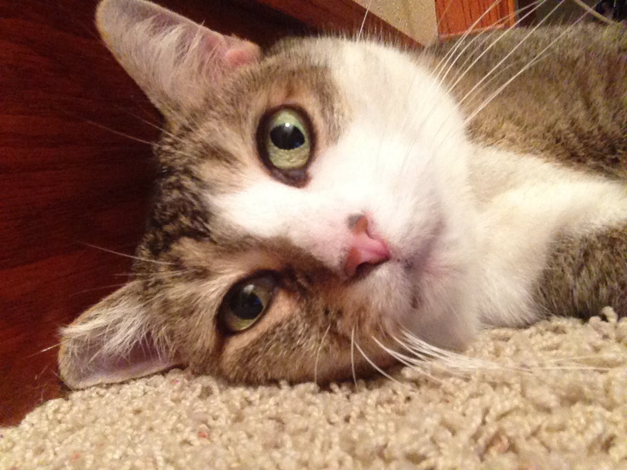 user avatar image for JenniferND