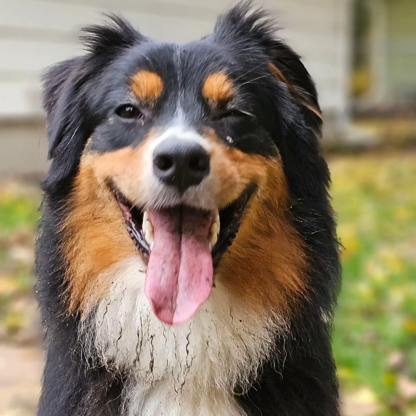 user avatar image for CellestSky