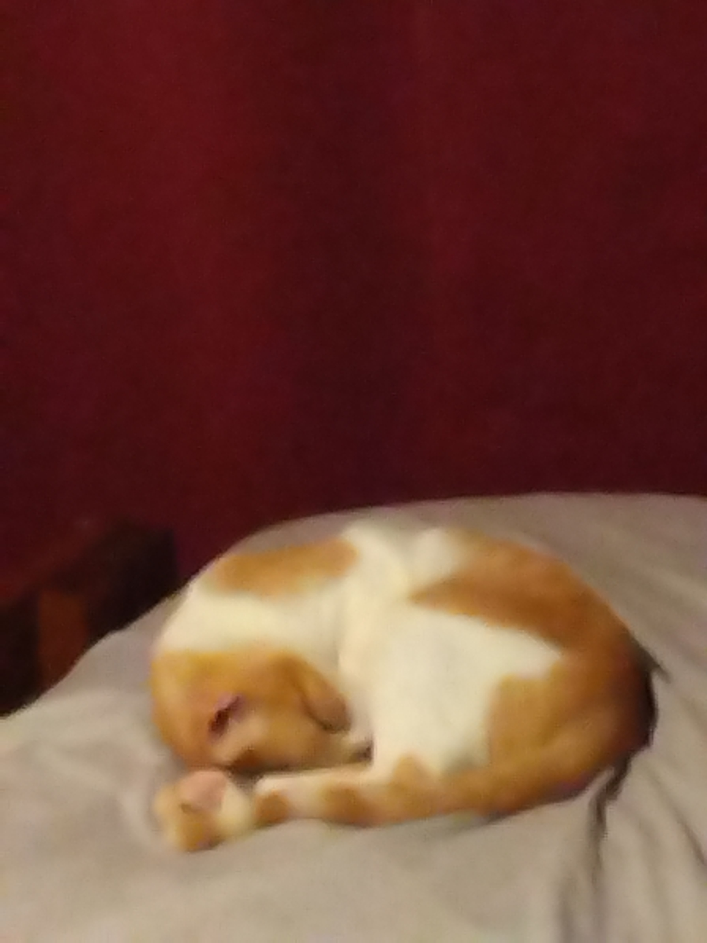 user avatar image for Mousy