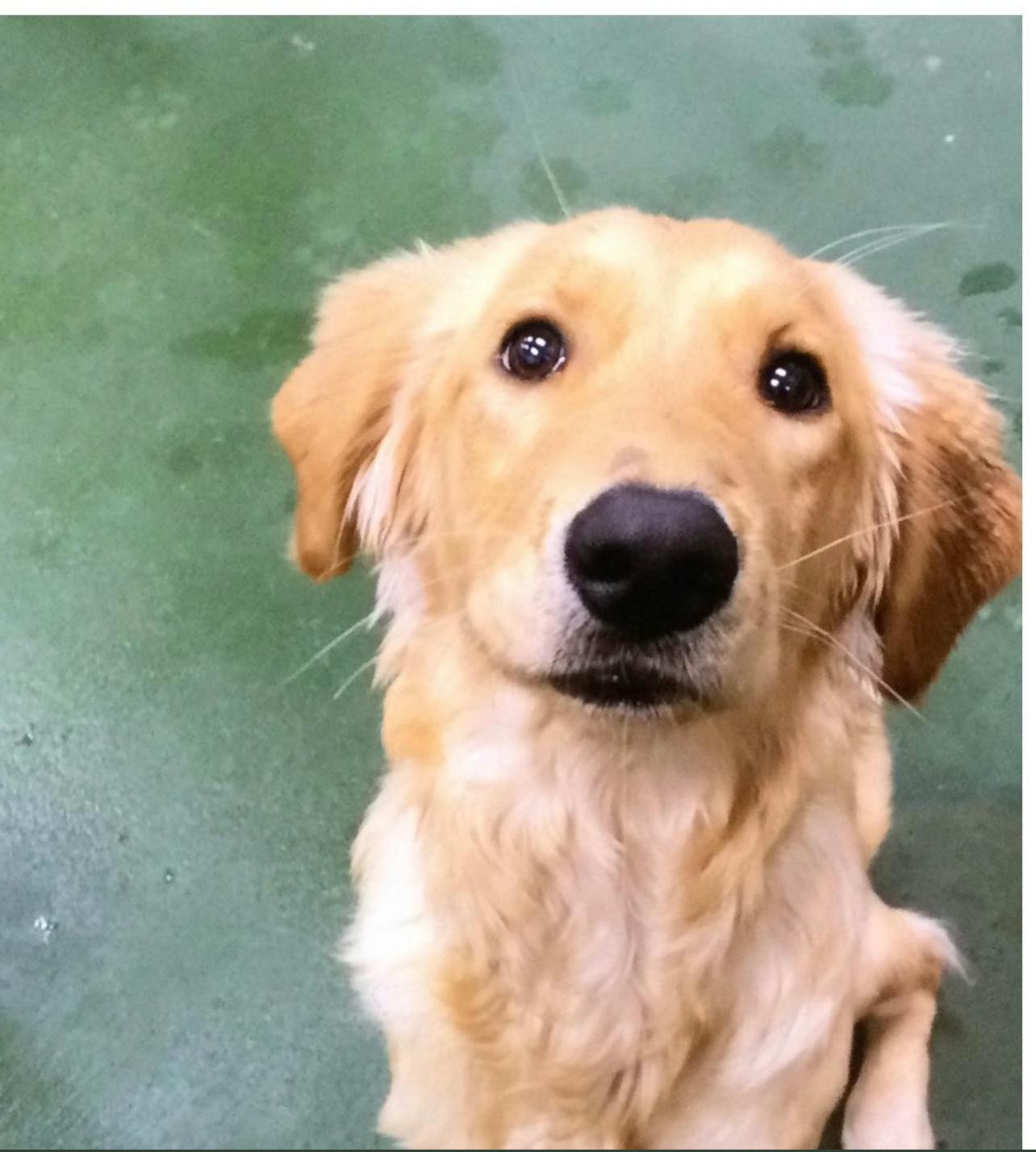 user avatar image for Mark Adam