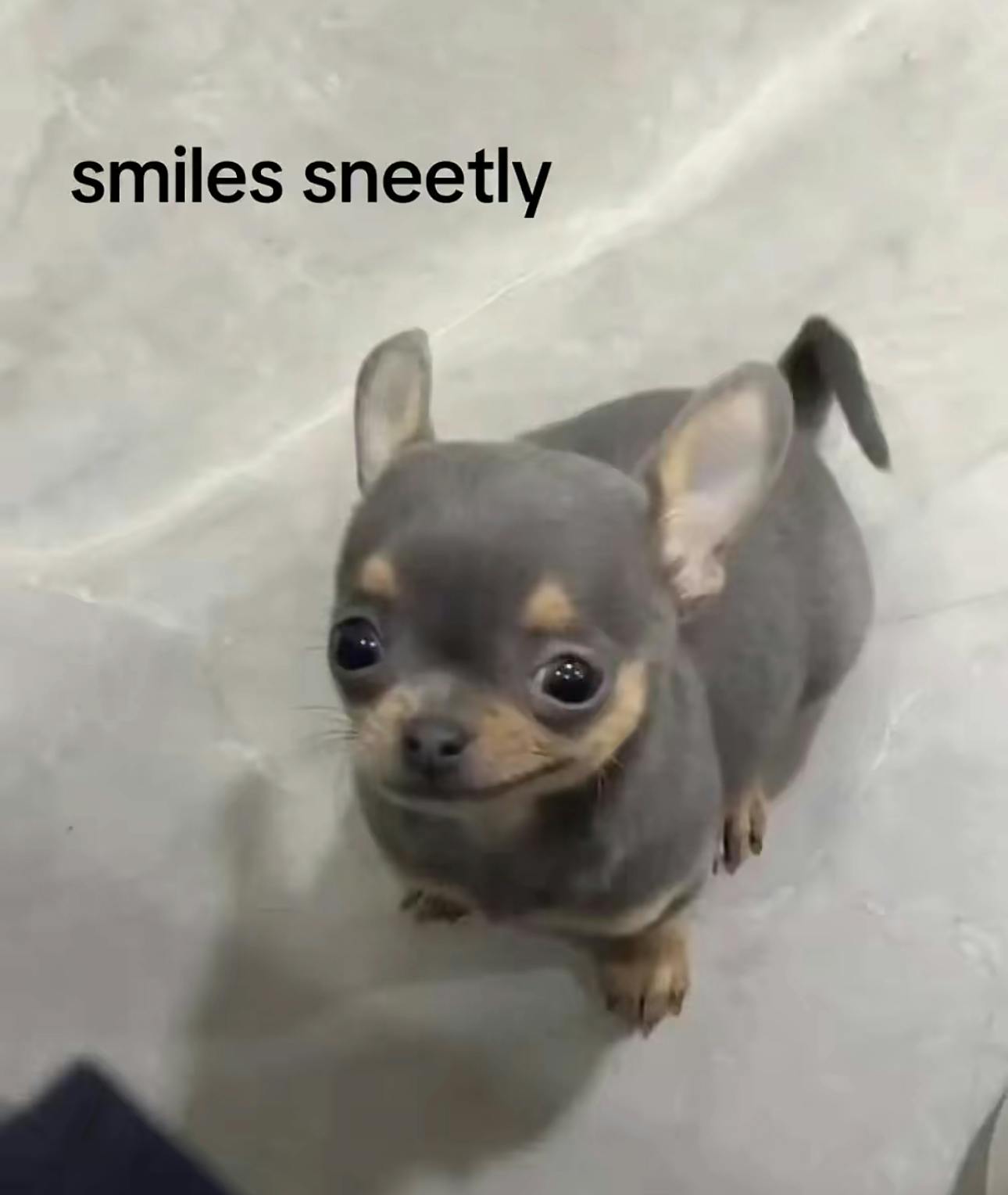 user avatar image for alex