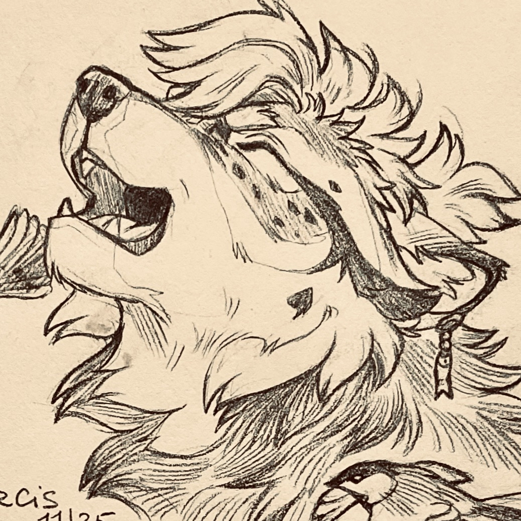 user avatar image for Goose T