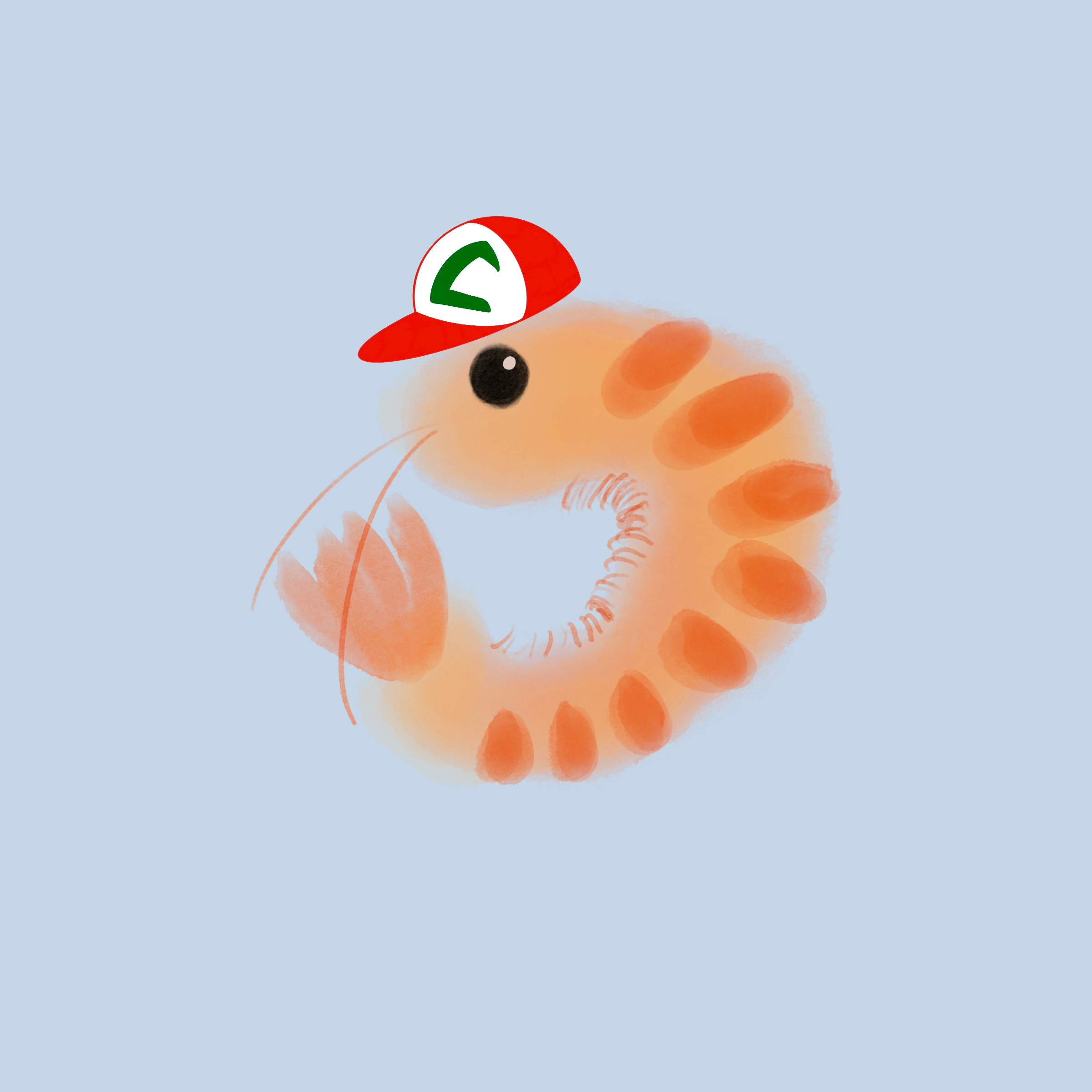 user avatar image for Kit Tobey
