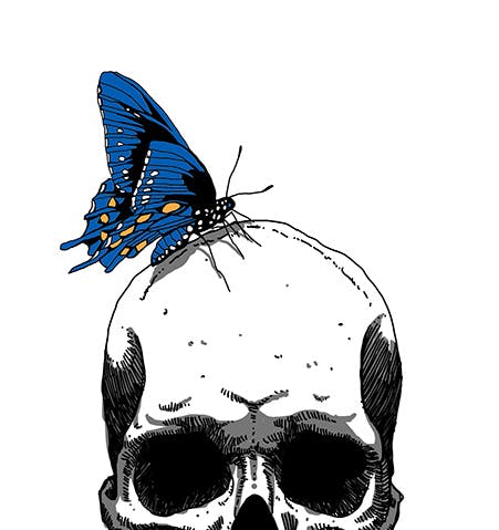 user avatar image for Marco Proietto