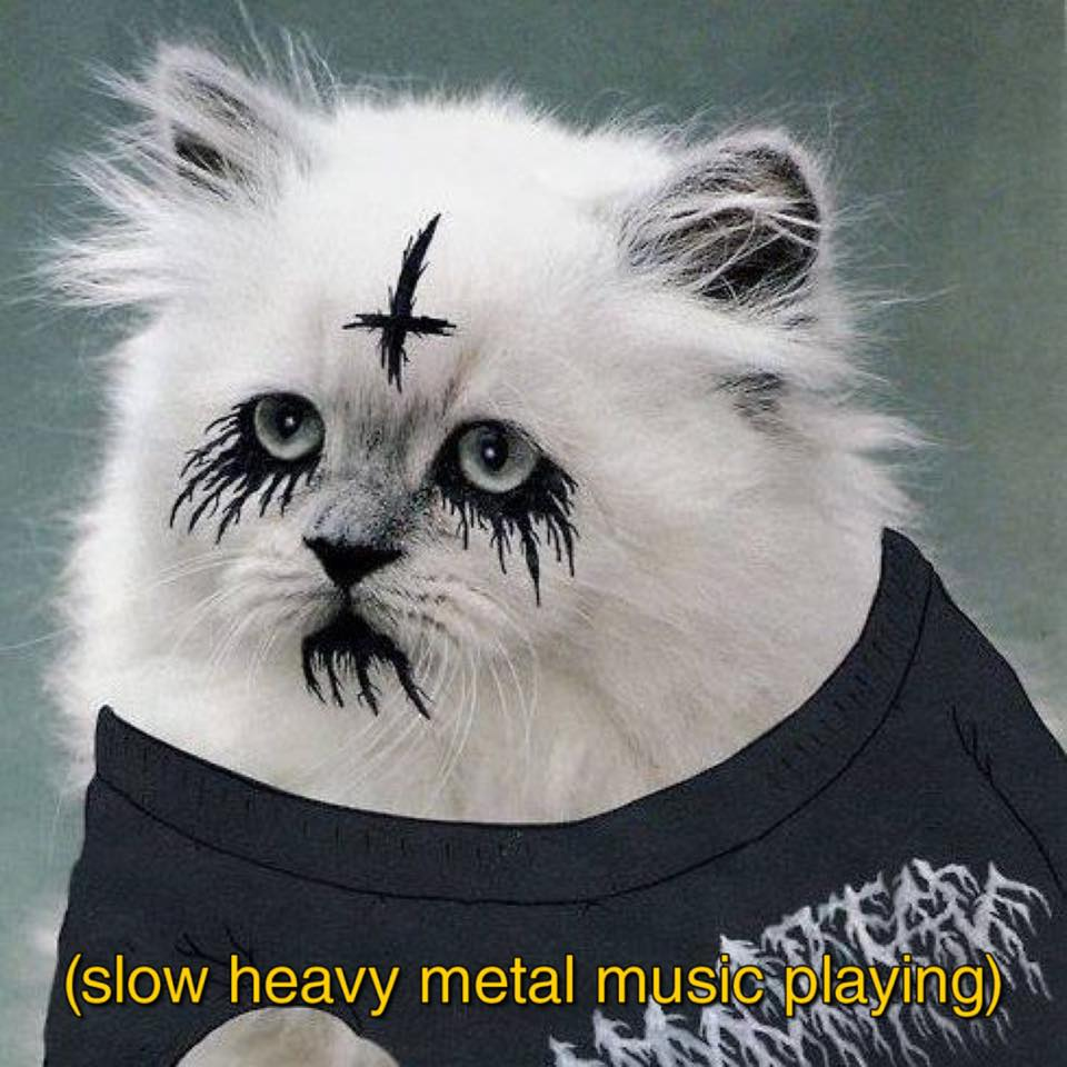 user avatar image for Falkirk