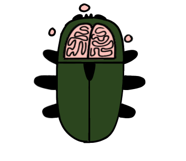 user avatar image for Beetle 