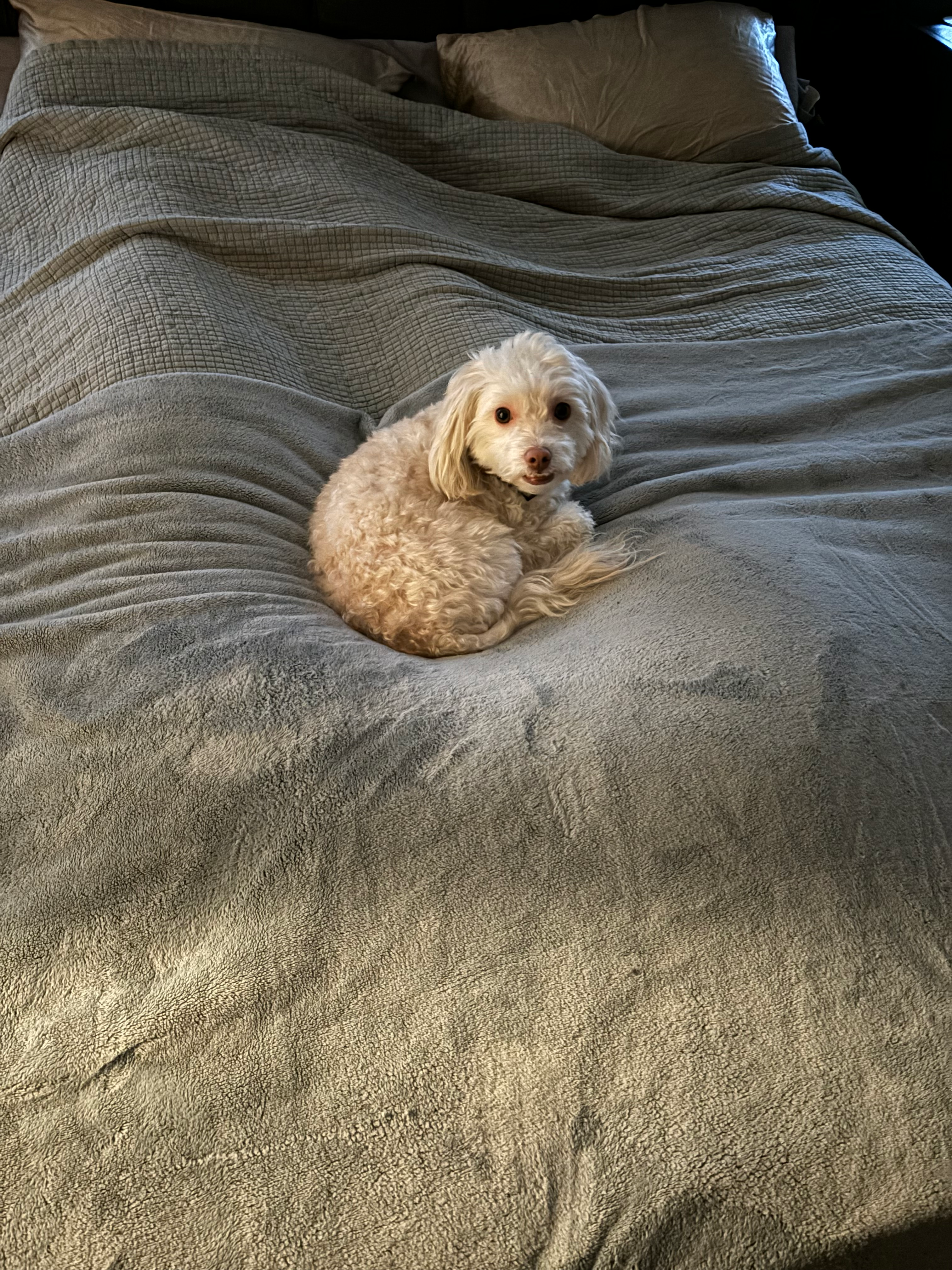 user avatar image for ChrisR