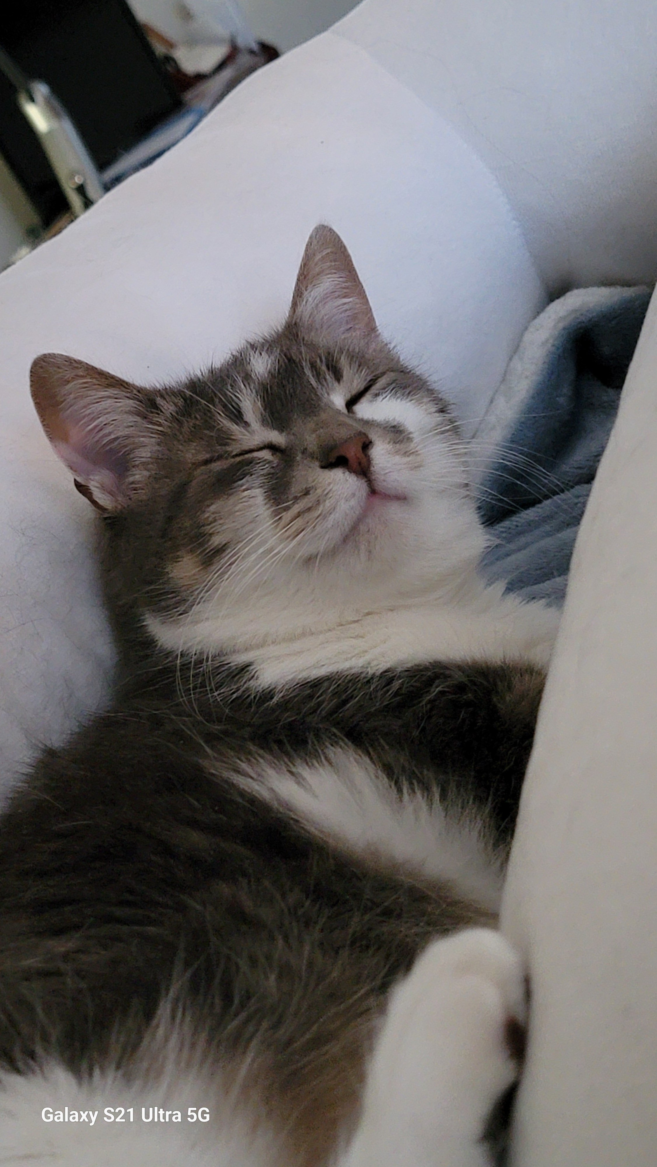 user avatar image for Anne M. Campbell