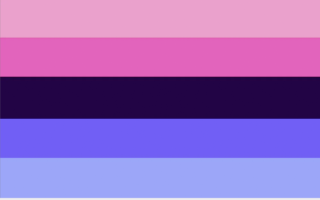 Omnisexual