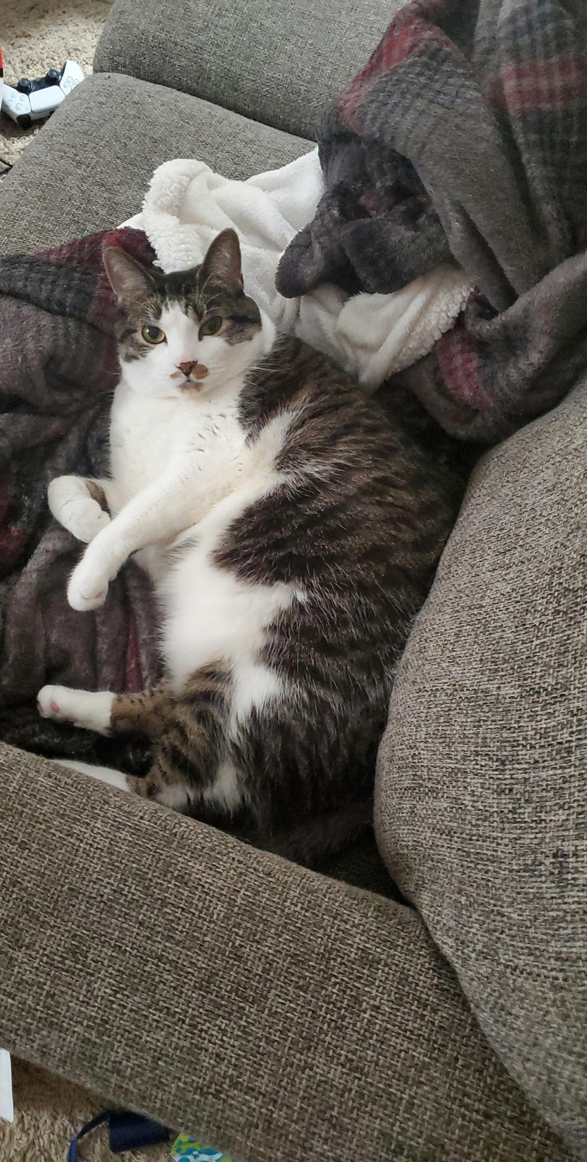 user avatar image for Brittaney Westley