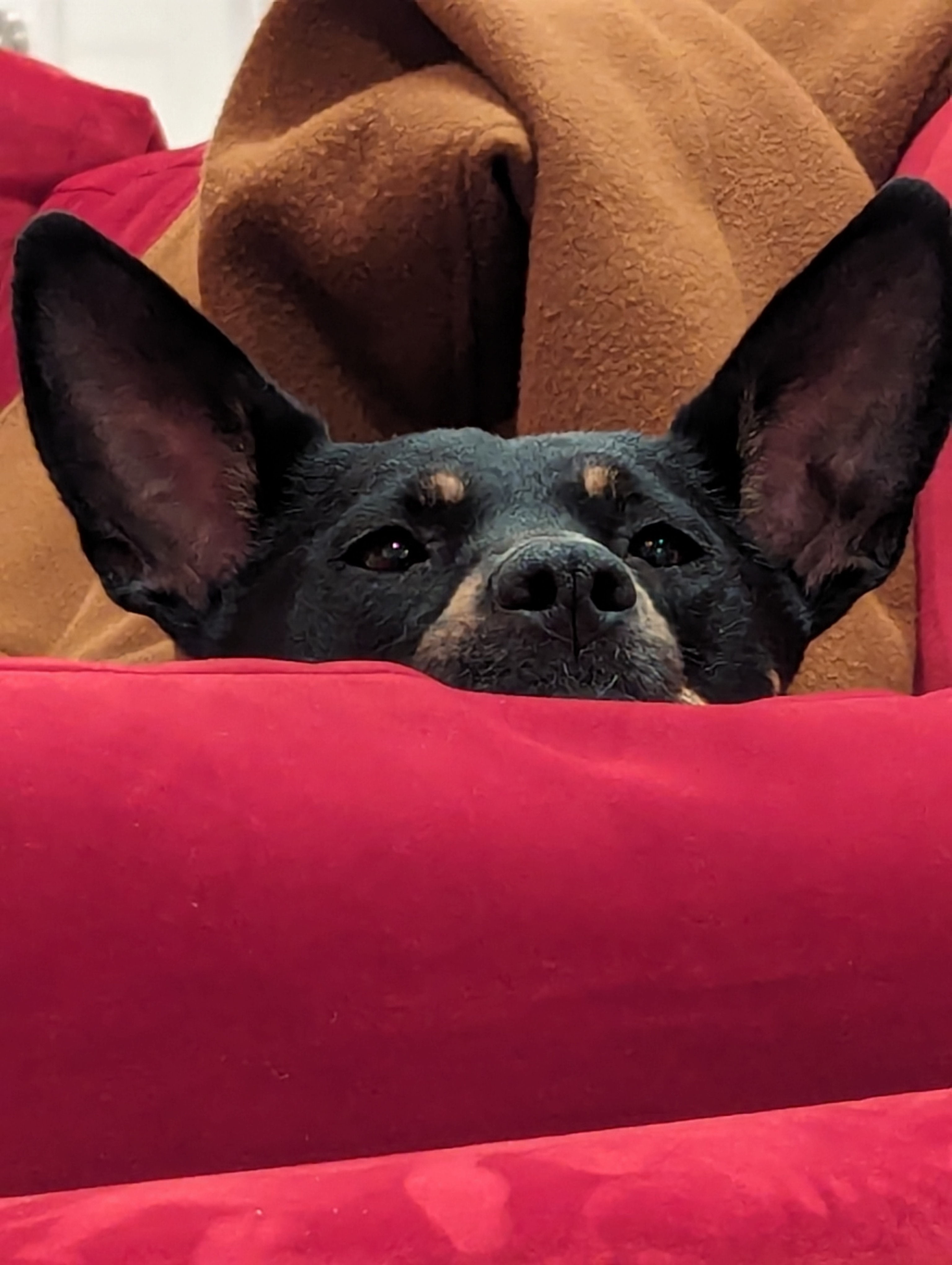 user avatar image for Hunter