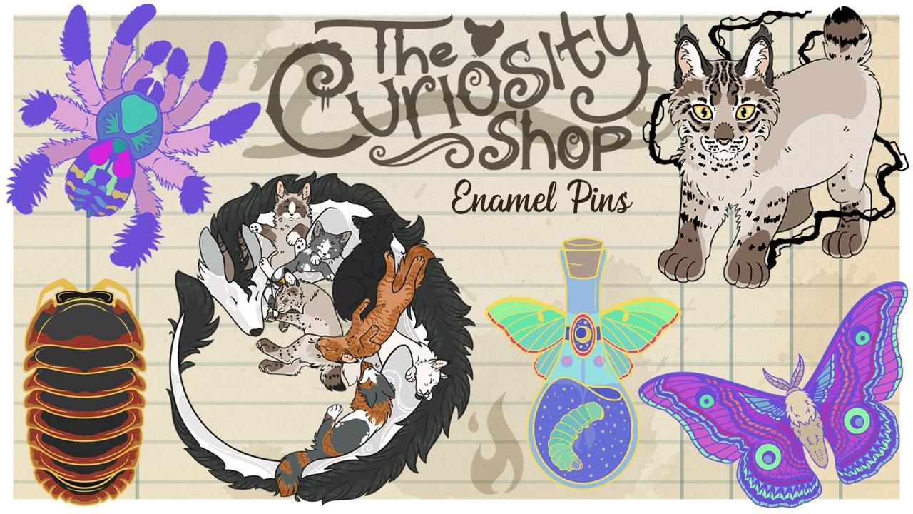 The Curiosity Shop Cats || Enamel Pin Collection