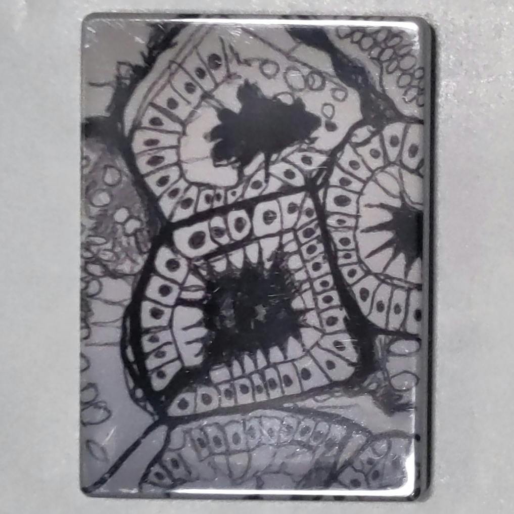 Black Angry Cells Magnet