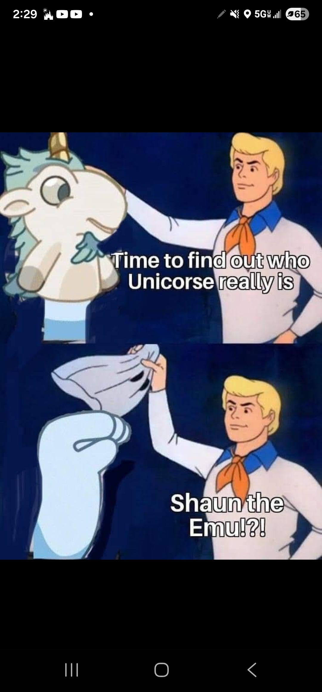 user avatar image for BRADY CAMPBELL