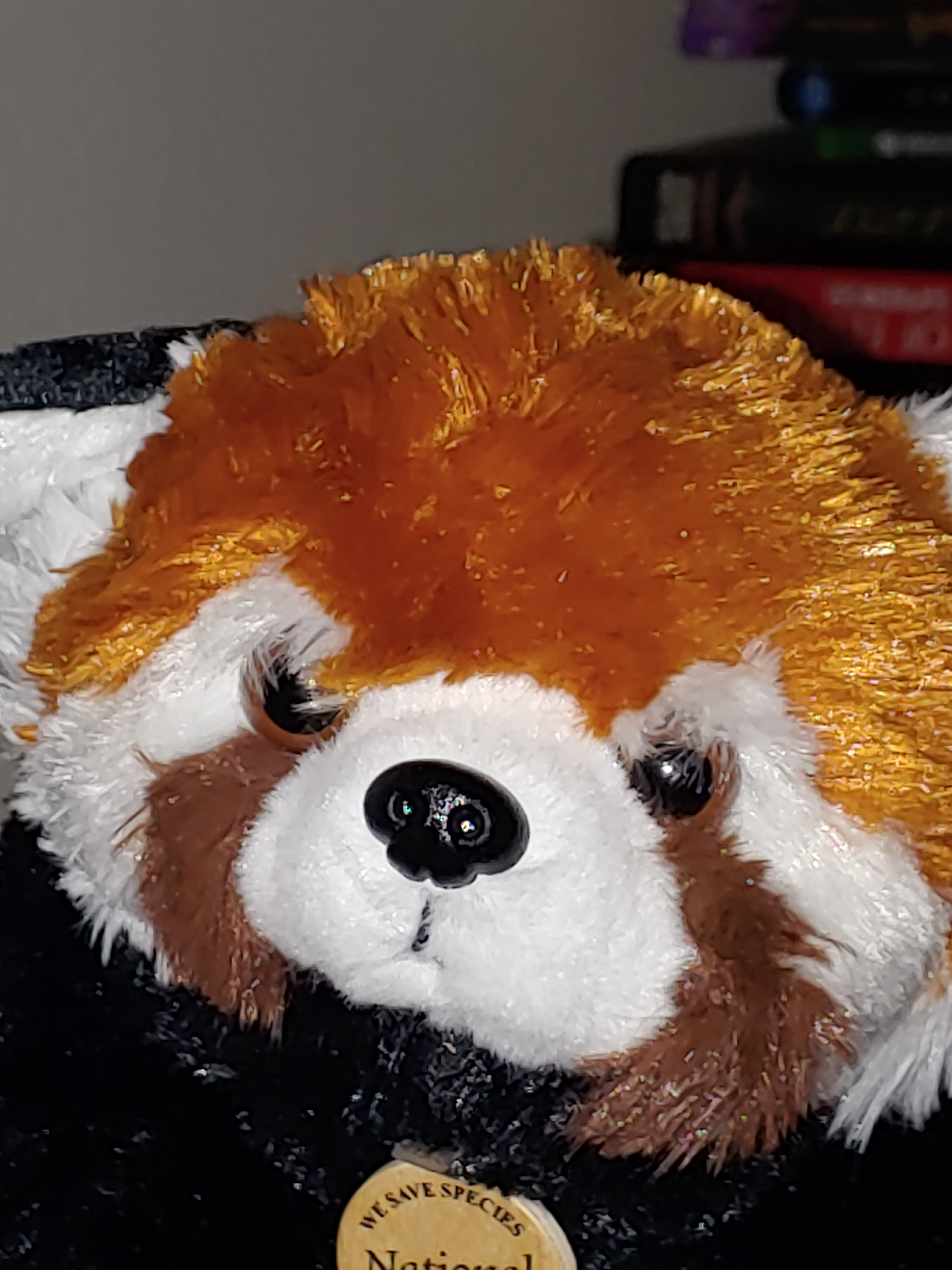 user avatar image for Ian Hutchinson