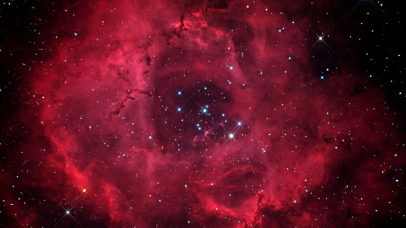 user avatar image for Michelle Risse