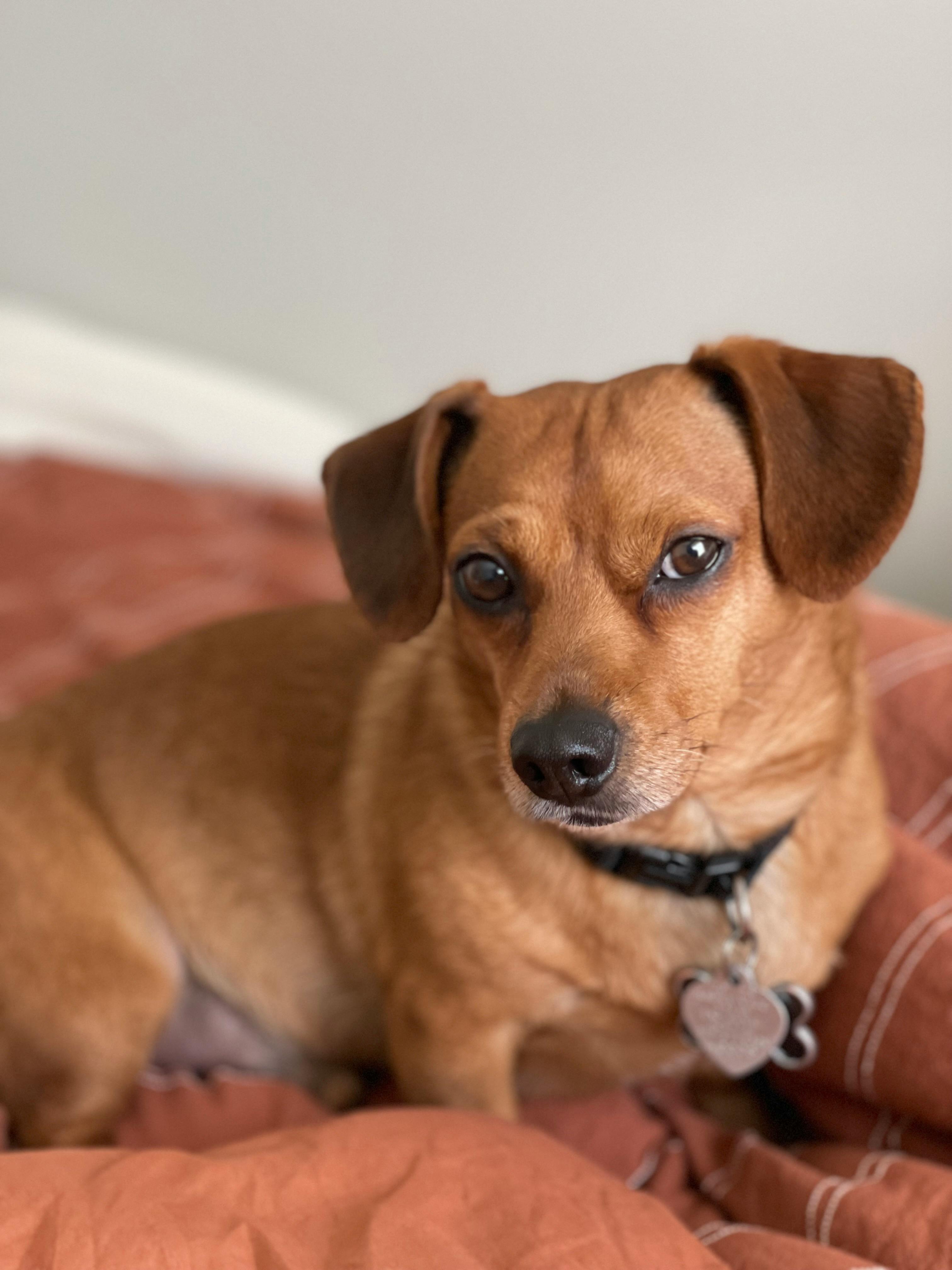 user avatar image for Isaiah Batoon