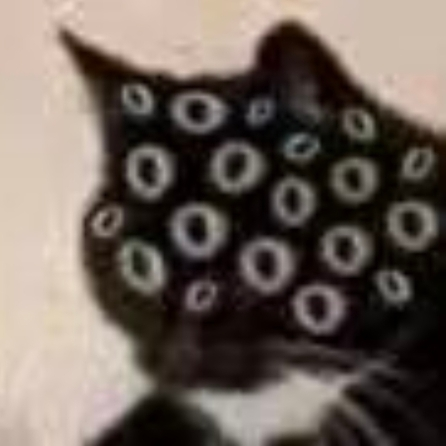 user avatar image for Keyang Yu