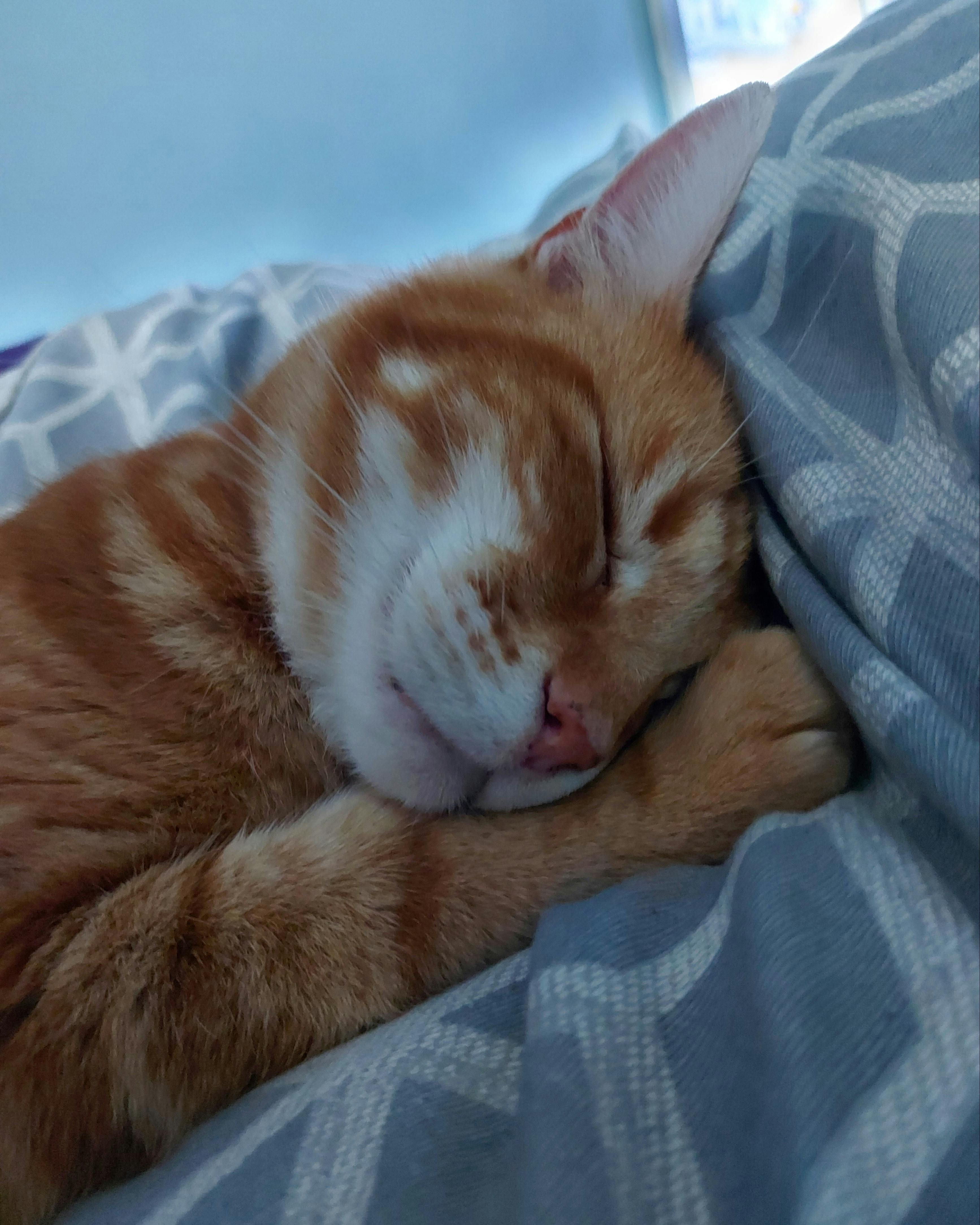 user avatar image for Mookie