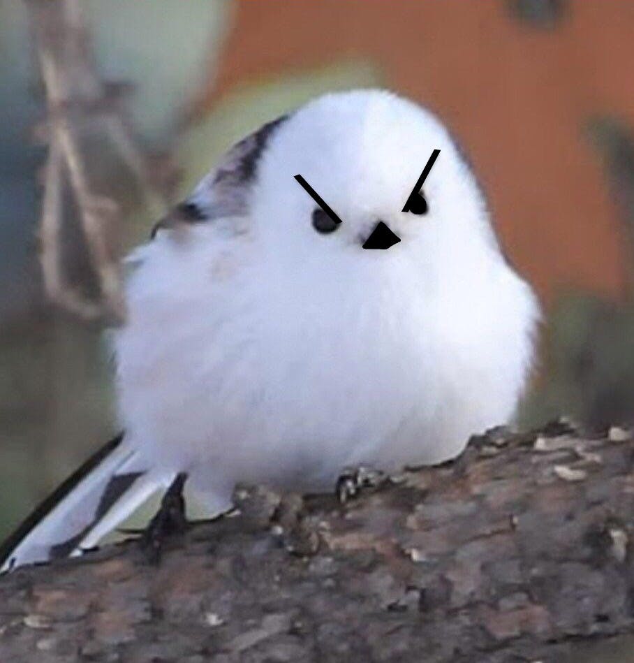 user avatar image for Brittany 