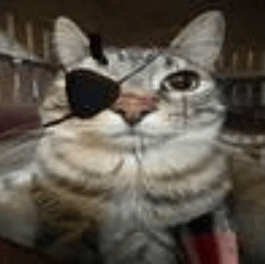 user avatar image for mae colbert
