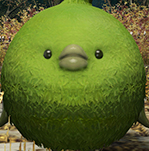 user avatar image for snailorange