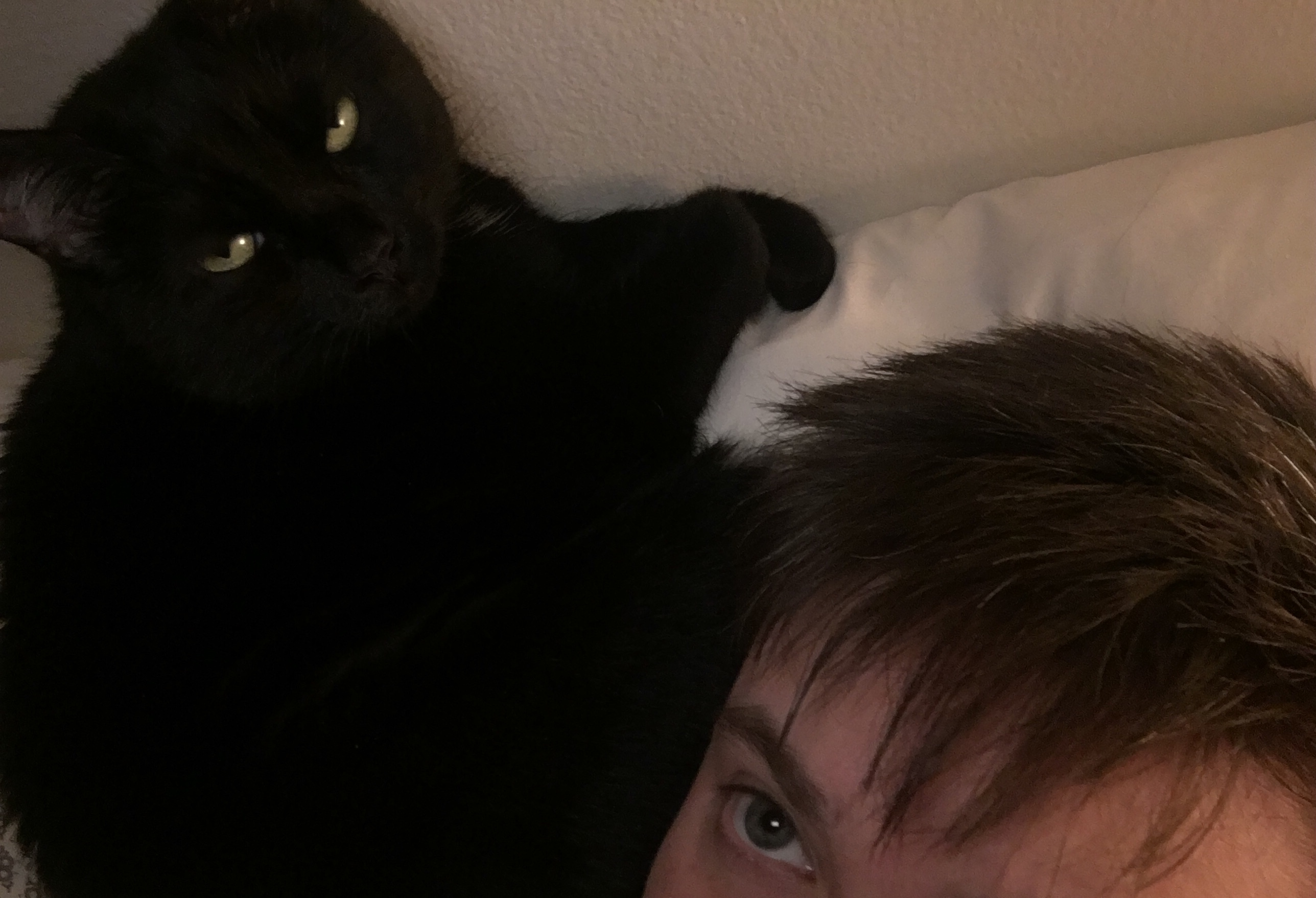 user avatar image for Carlin G.