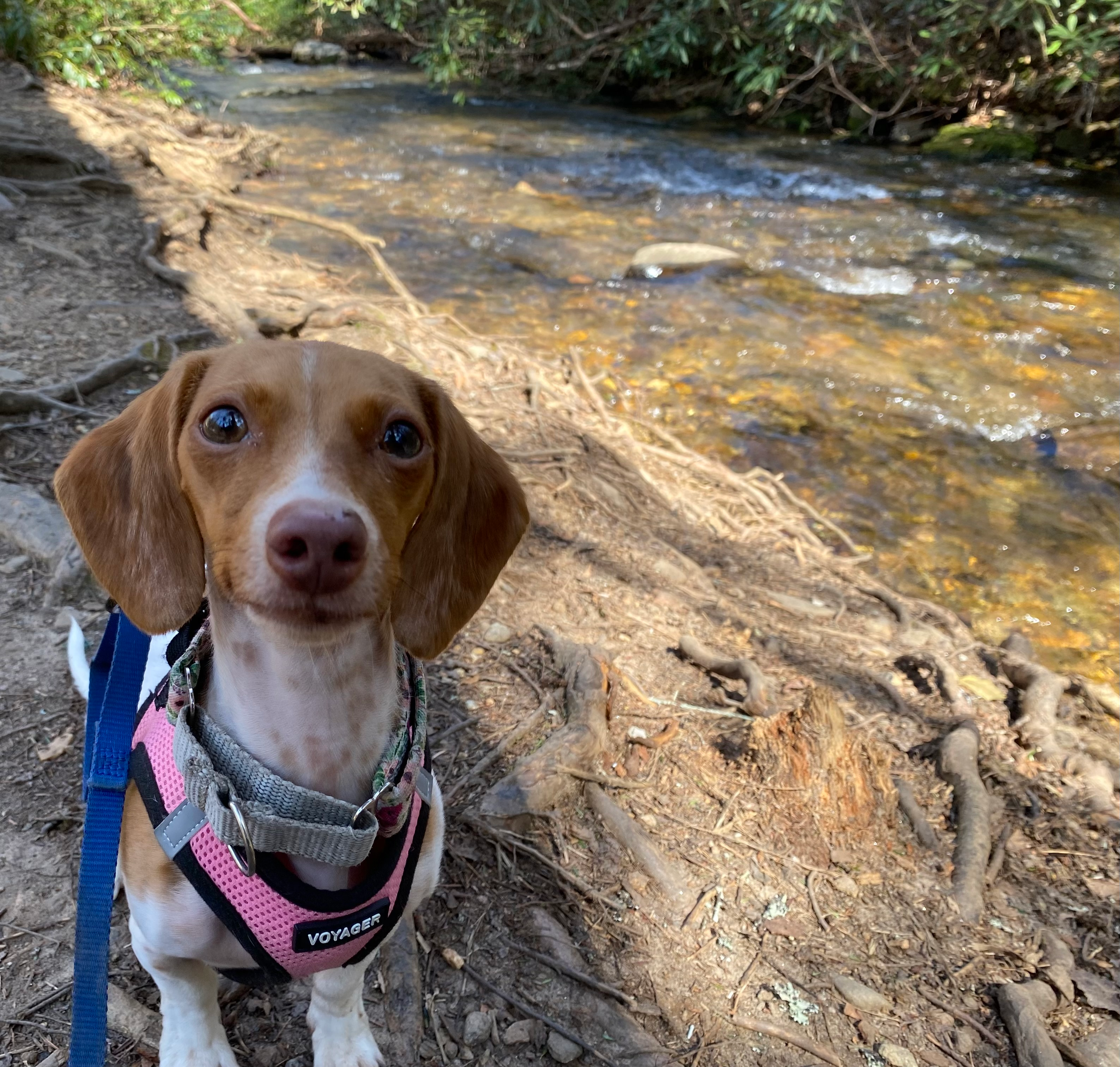 user avatar image for Tessie Offner