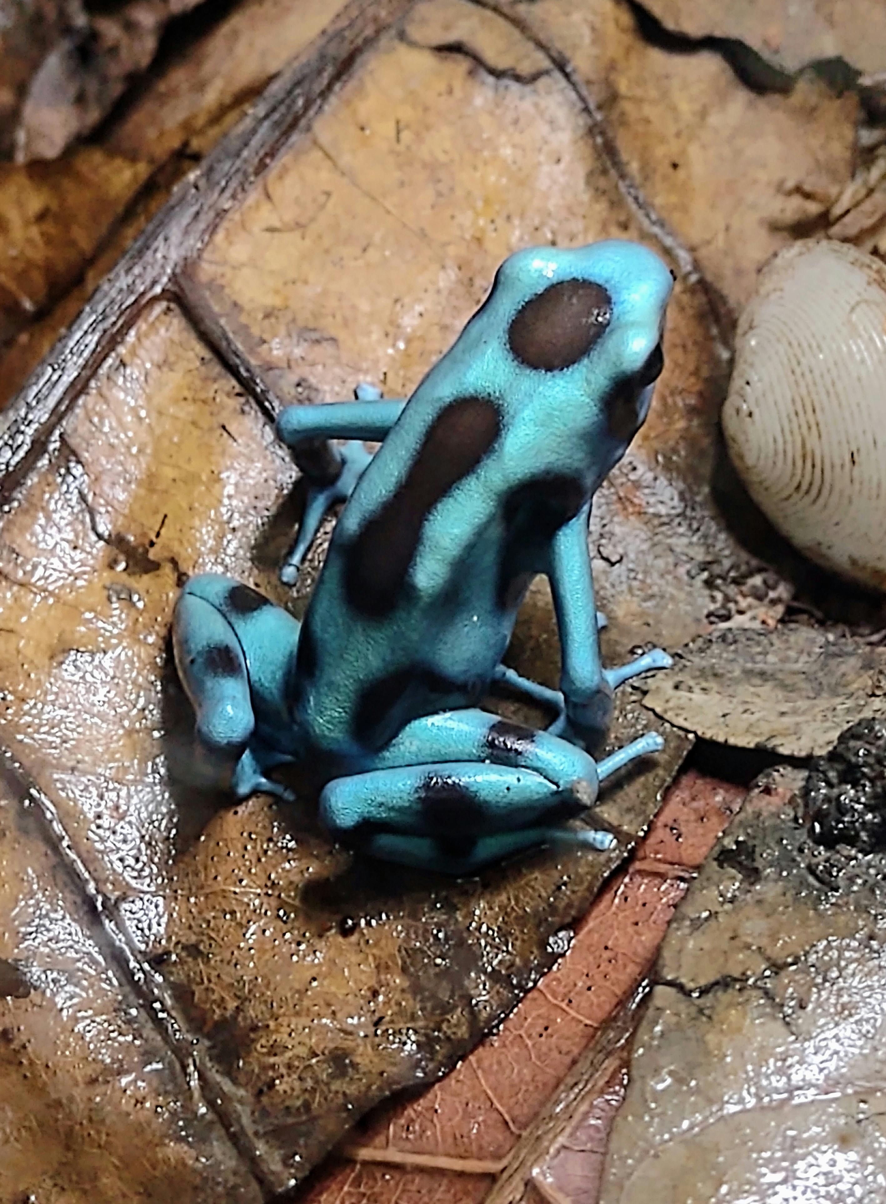 user avatar image for Mel L