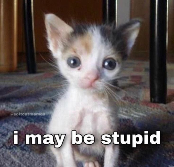 user avatar image for ZacZac the Snacc Attacc