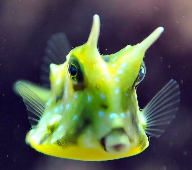 user avatar image for C3raph1m